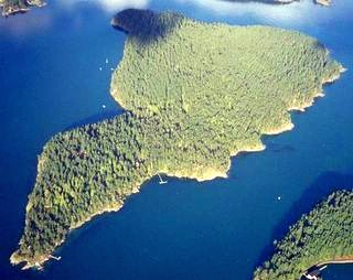 Picture of
                Obstruction Island, Aerial Photo, Obstruction Island
                Washington.